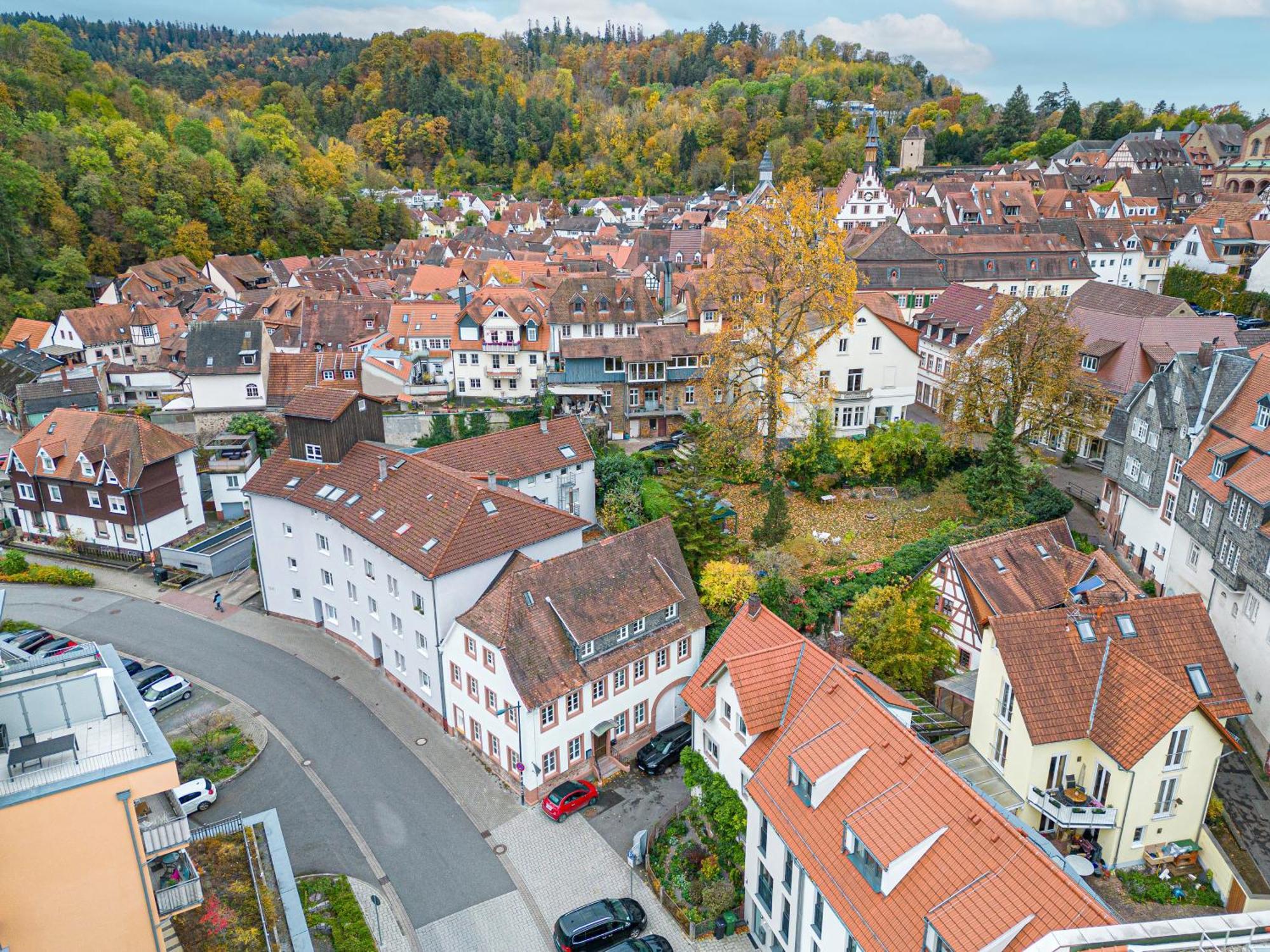 Lit Living Weinheim Altstadt - Boutique Apartments - Parking Buitenkant foto