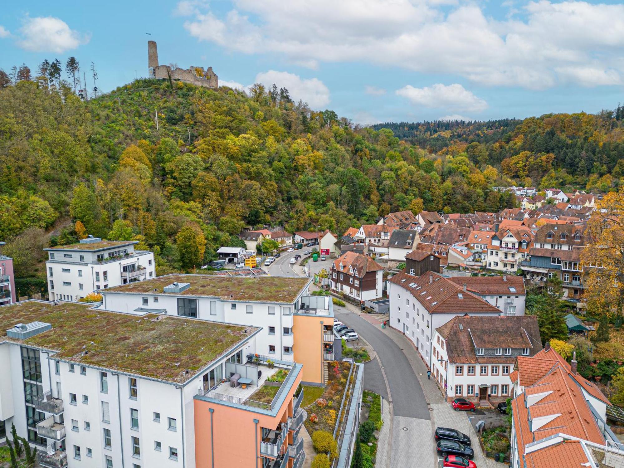 Lit Living Weinheim Altstadt - Boutique Apartments - Parking Buitenkant foto